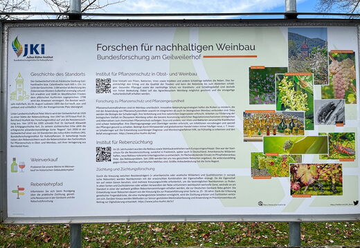 23-03-13 11-05-57 4834